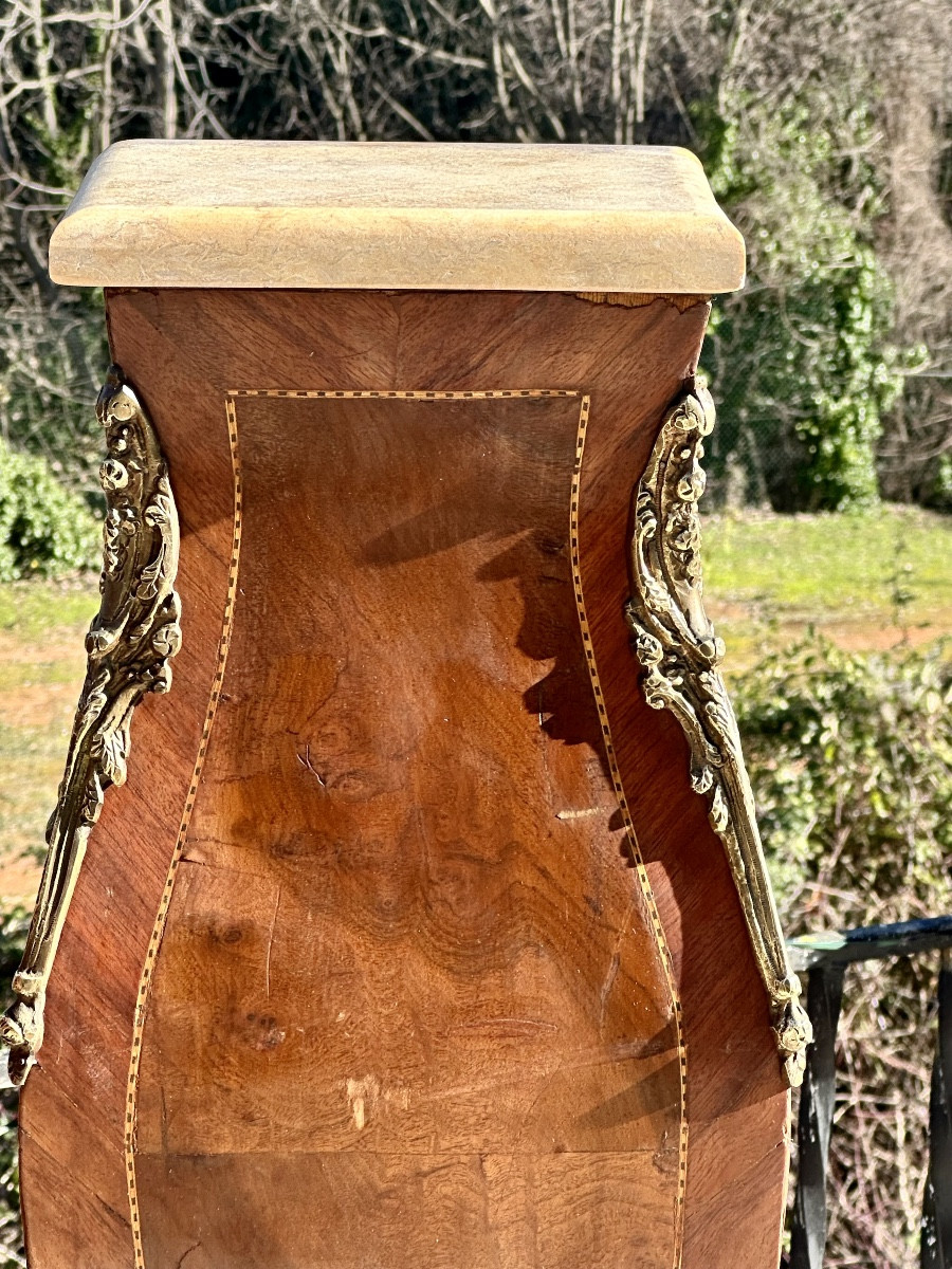 Important Pair Of "gates Or Columns" In Precious Wood Marquetry Circa 1900.-photo-8
