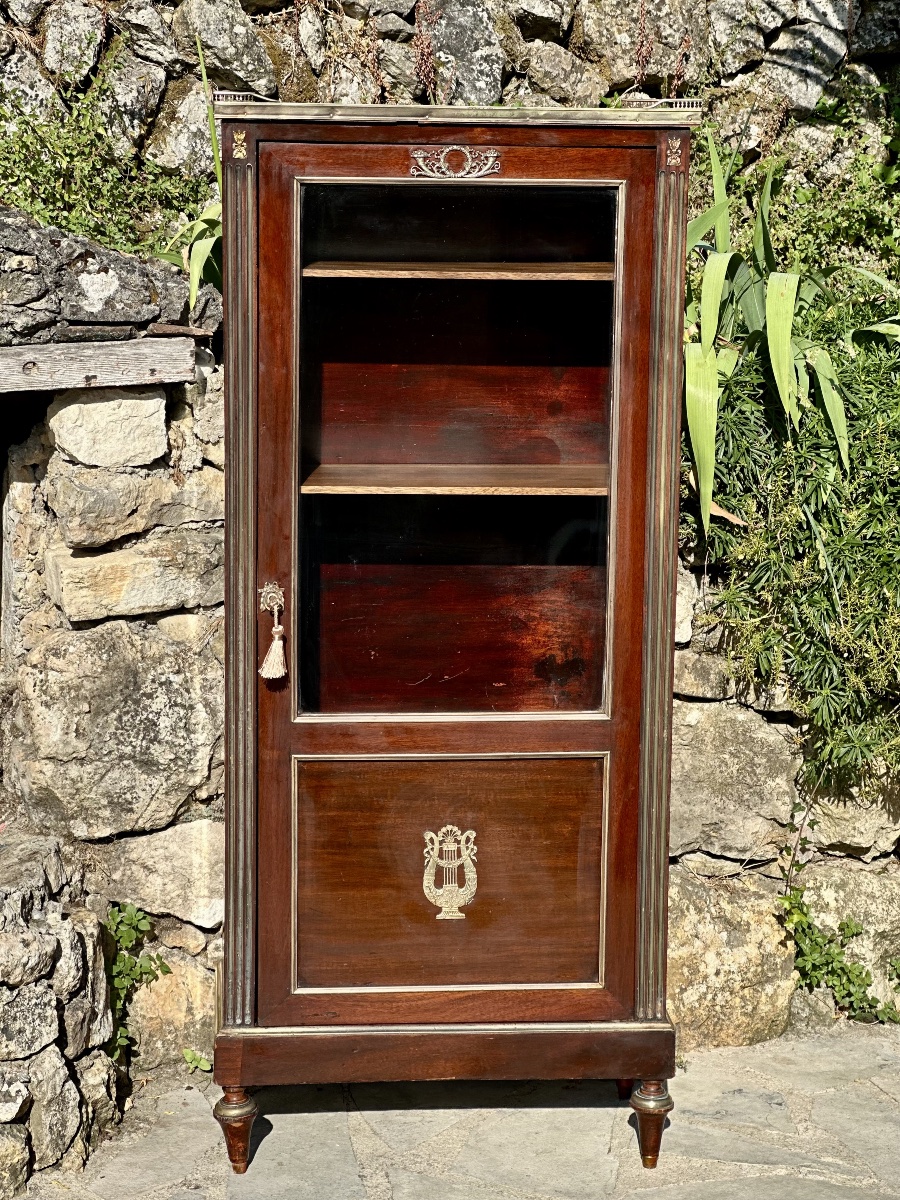 Small Mahogany Display Case In The Louis XVI Style From The 19th Century.-photo-8