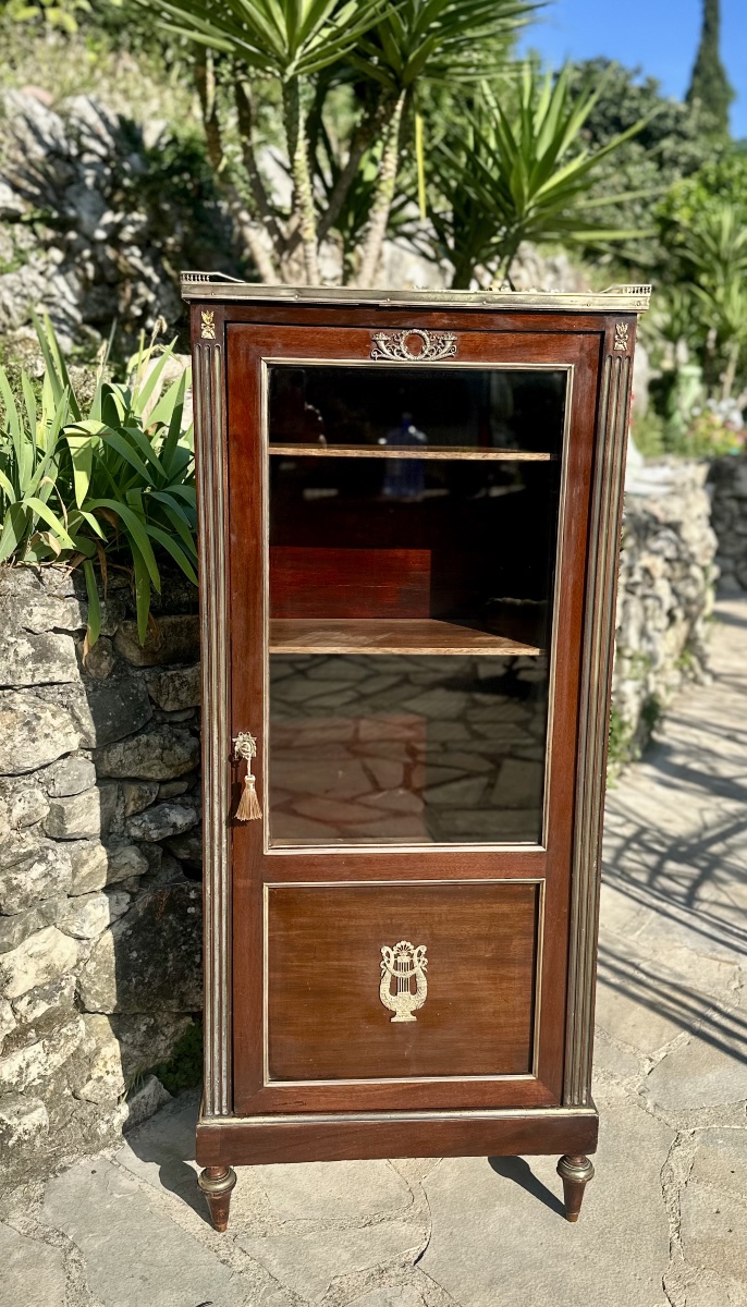 Small Mahogany Display Case In The Louis XVI Style From The 19th Century.