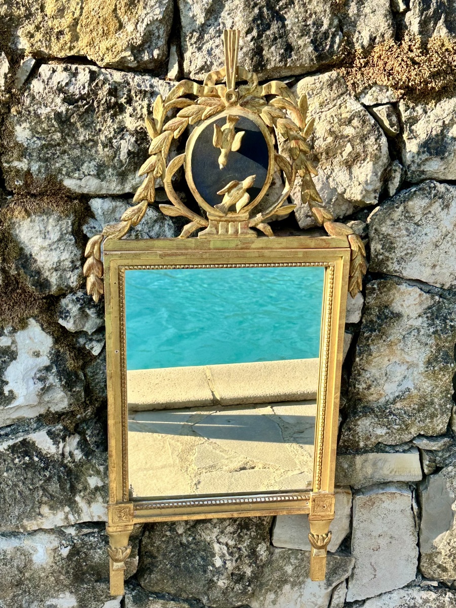 Magnifique Miroir Trumeau « Aux oiseaux » ,en  bois doré sculpté .Époque XVIII ème siècle.-photo-2
