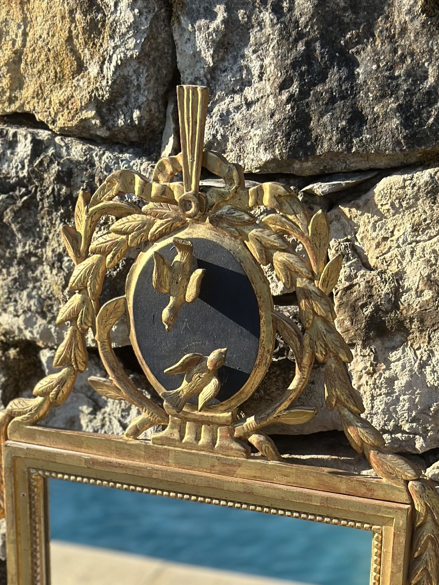Magnifique Miroir Trumeau « Aux oiseaux » ,en  bois doré sculpté .Époque XVIII ème siècle.-photo-3