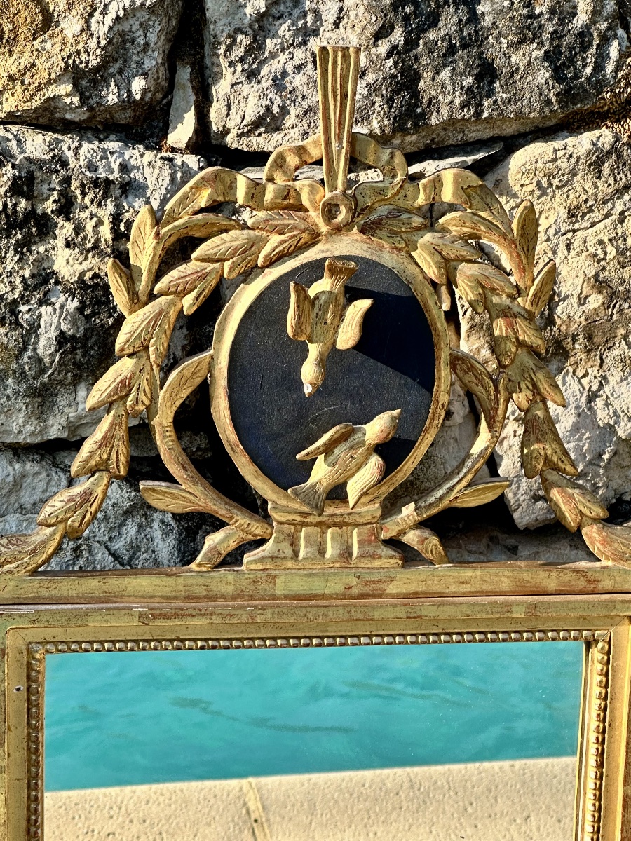 Magnifique Miroir Trumeau « Aux oiseaux » ,en  bois doré sculpté .Époque XVIII ème siècle.-photo-4