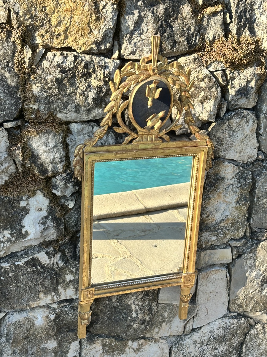 Magnifique Miroir Trumeau « Aux oiseaux » ,en  bois doré sculpté .Époque XVIII ème siècle.-photo-1