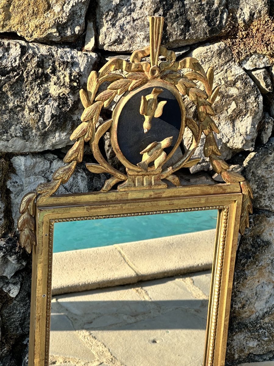 Magnifique Miroir Trumeau « Aux oiseaux » ,en  bois doré sculpté .Époque XVIII ème siècle.-photo-3