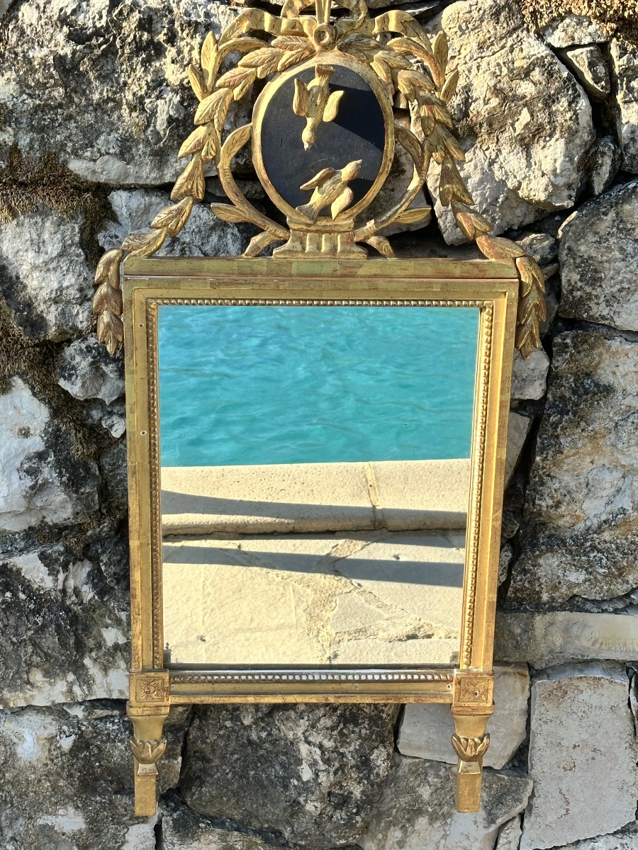 Magnifique Miroir Trumeau « Aux oiseaux » ,en  bois doré sculpté .Époque XVIII ème siècle.