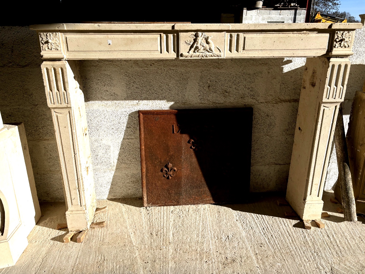 Louis XVI Style Fireplace, From Burgundy