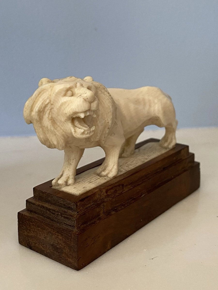 Ivory Okimono, Roaring Lion Statue. China, Early 20th Century-photo-4