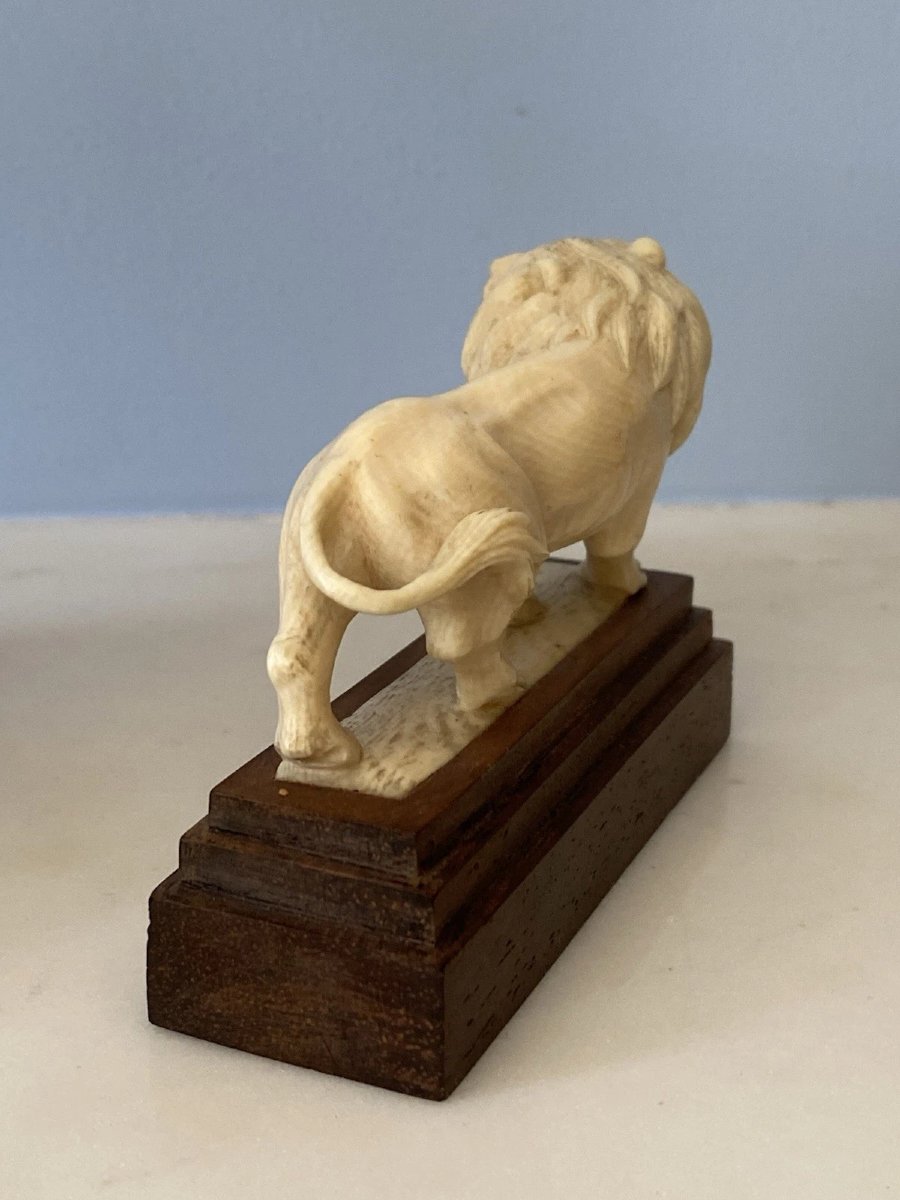 Ivory Okimono, Roaring Lion Statue. China, Early 20th Century-photo-6