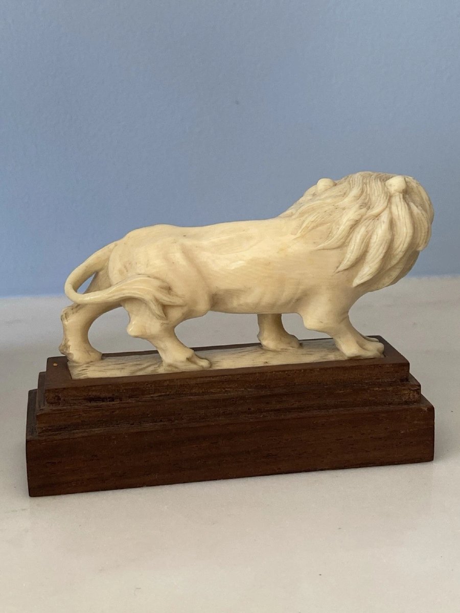 Ivory Okimono, Roaring Lion Statue. China, Early 20th Century-photo-7