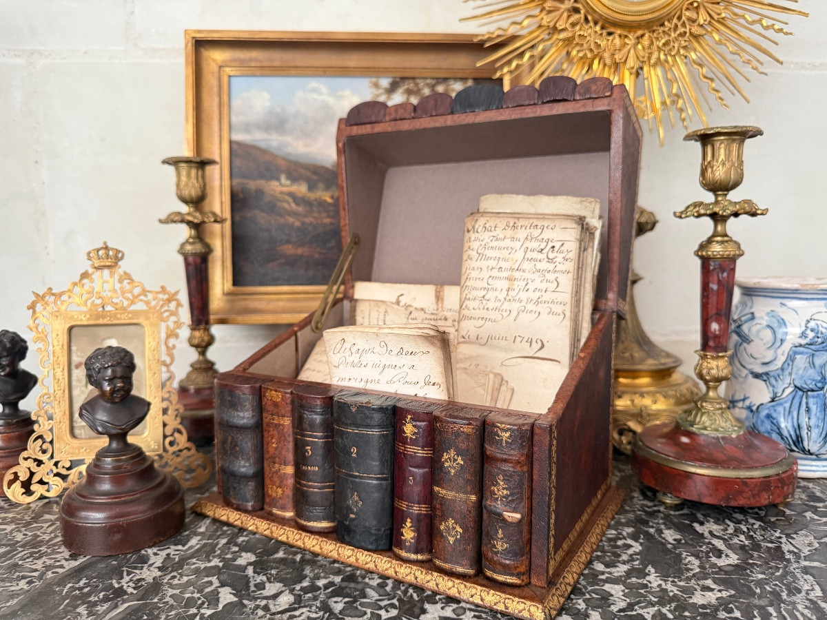 19th Century Trompe-l'oeil Leather & Wood Faux Book Box-photo-3