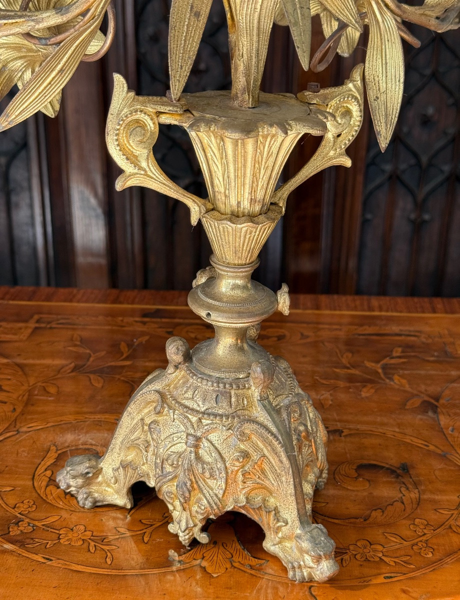 Pair Of 19th Century Gilt Bronze Bouquet Candelabra In The Louis XVI Style-photo-6