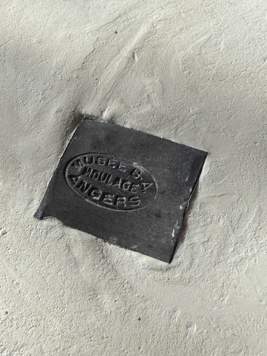 Médaillon en plâtre, profil de Napoléon Bonaparte – signé David d’Angers, XXe siècle, Musée BA-photo-8