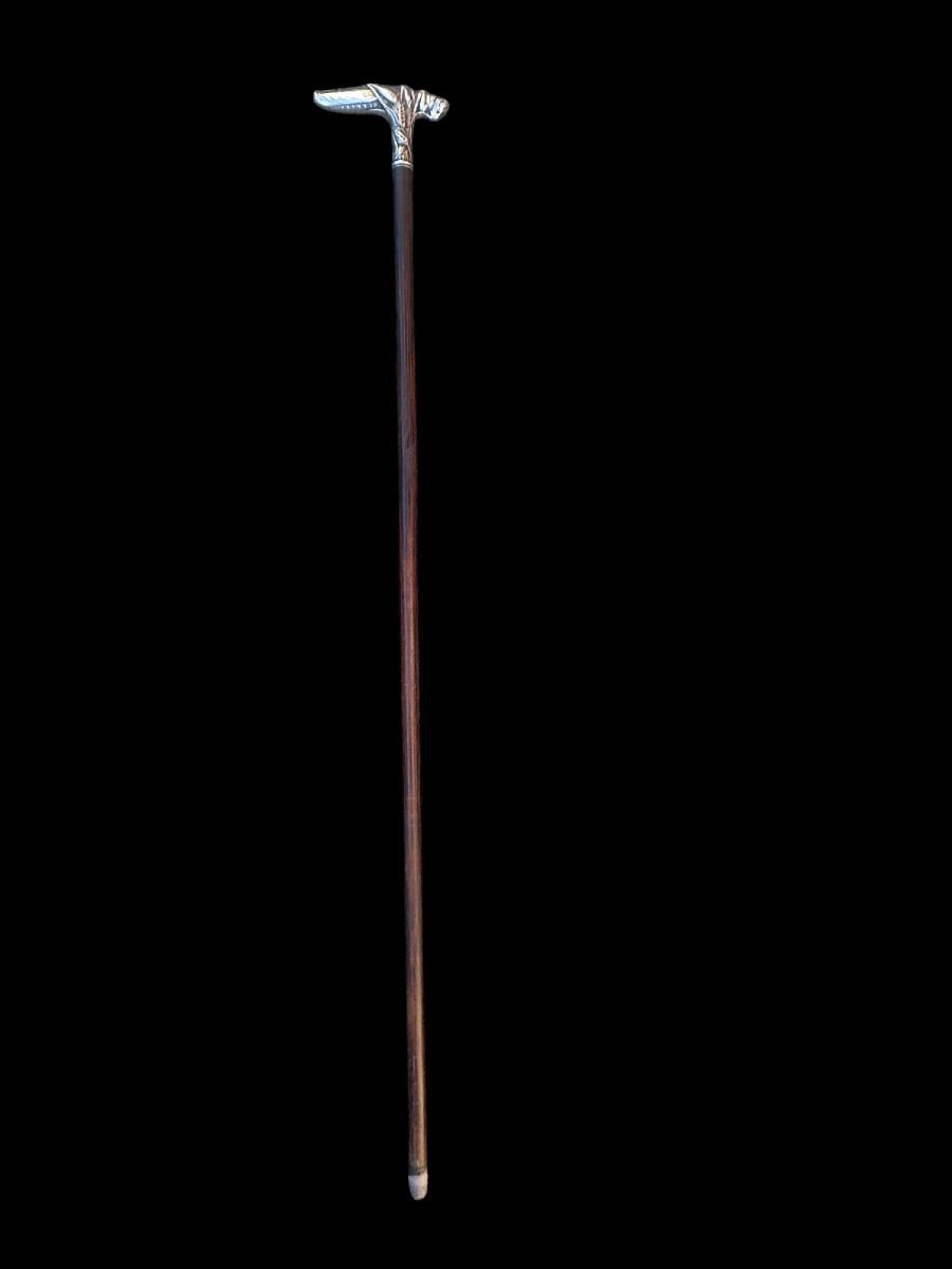 Silver Knob Cane With Grasshopper Decor-photo-3