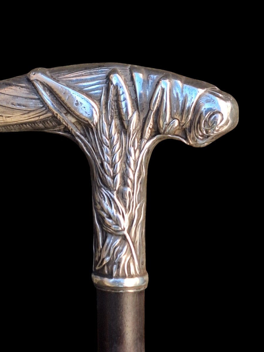Silver Knob Cane With Grasshopper Decor-photo-4