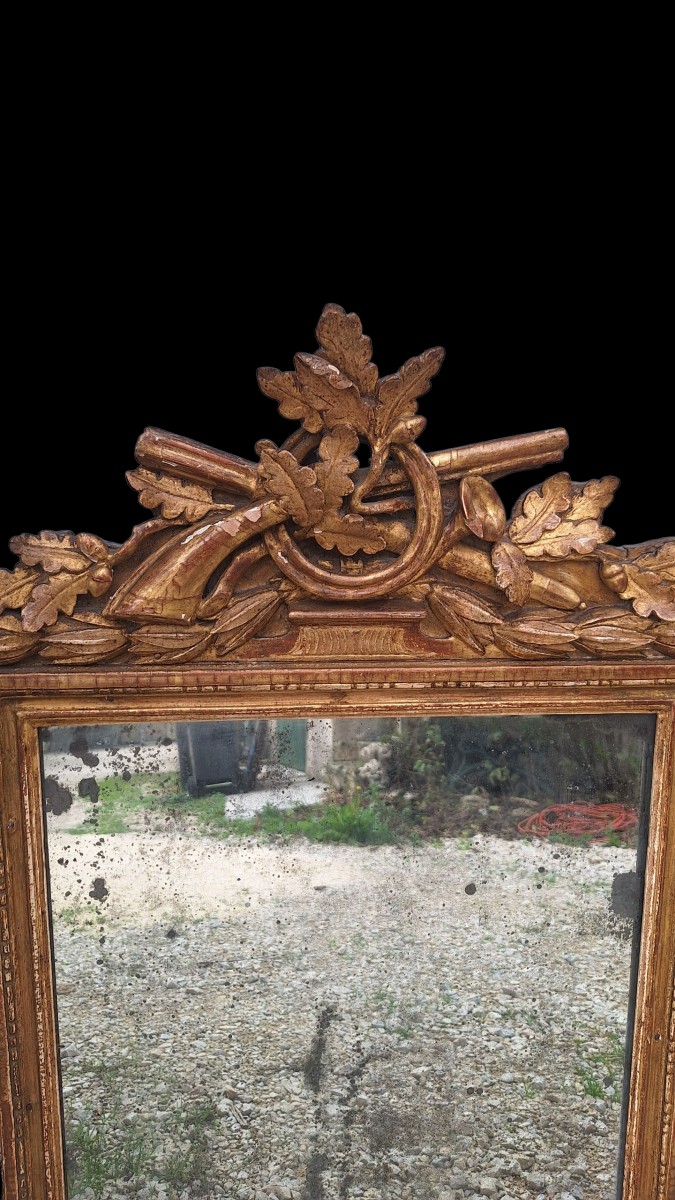 miroir epoque louis XVI cynégétique -photo-2