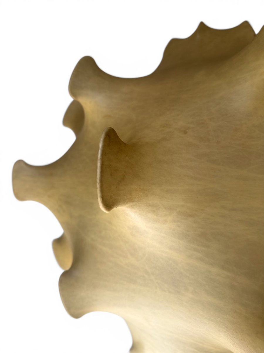 Taraxacum Pendant Light, Castiglioni For Flos, Circa 1960-photo-2