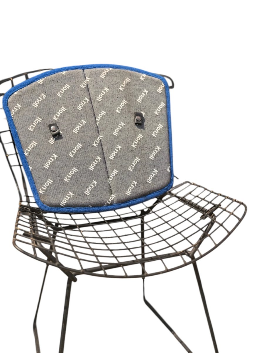 Suite de 4 Chaises "Wire" — Harry Bertoia pour Knoll (Acier, Brasure Laiton & Coussins Knoll)-photo-4
