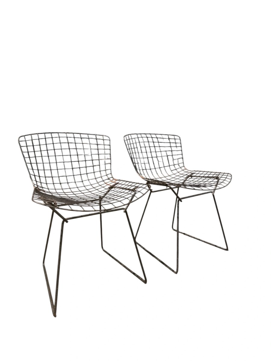 Suite de 4 Chaises "Wire" — Harry Bertoia pour Knoll (Acier, Brasure Laiton & Coussins Knoll)-photo-6