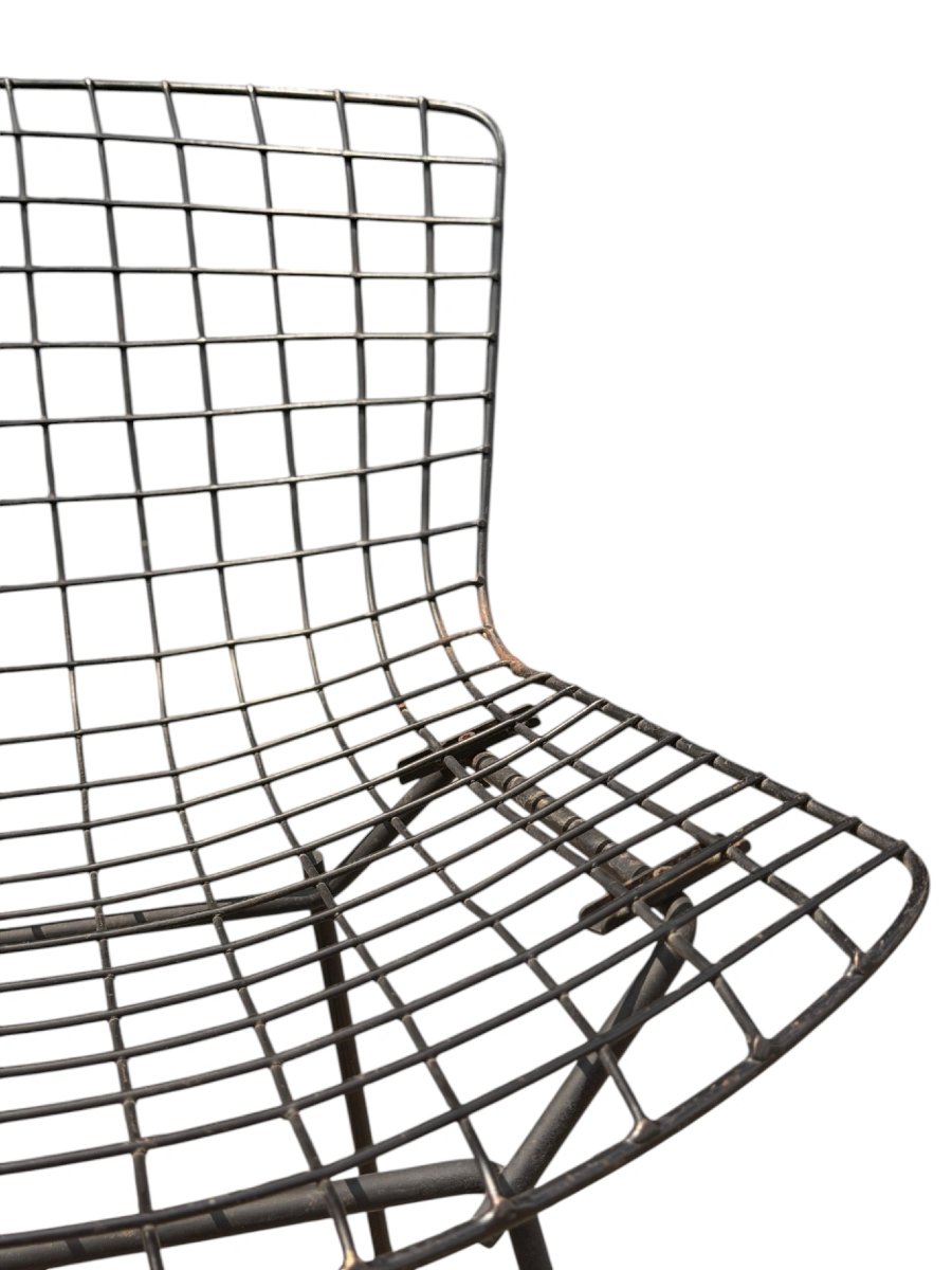 Suite de 4 Chaises "Wire" — Harry Bertoia pour Knoll (Acier, Brasure Laiton & Coussins Knoll)-photo-8