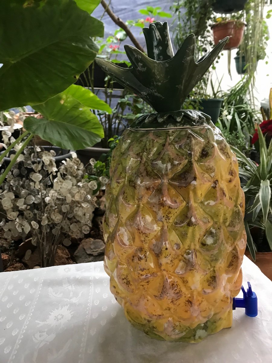 Pineapple-photo-7