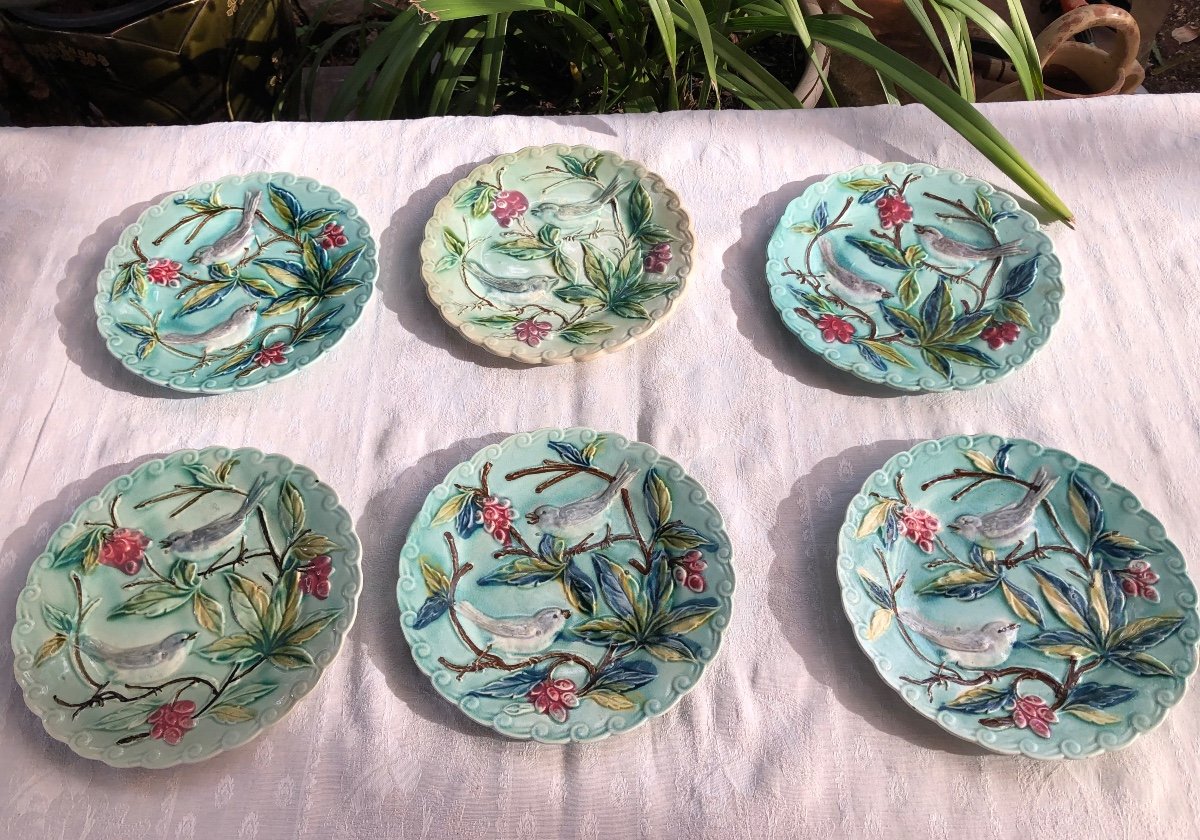 Bird Plates