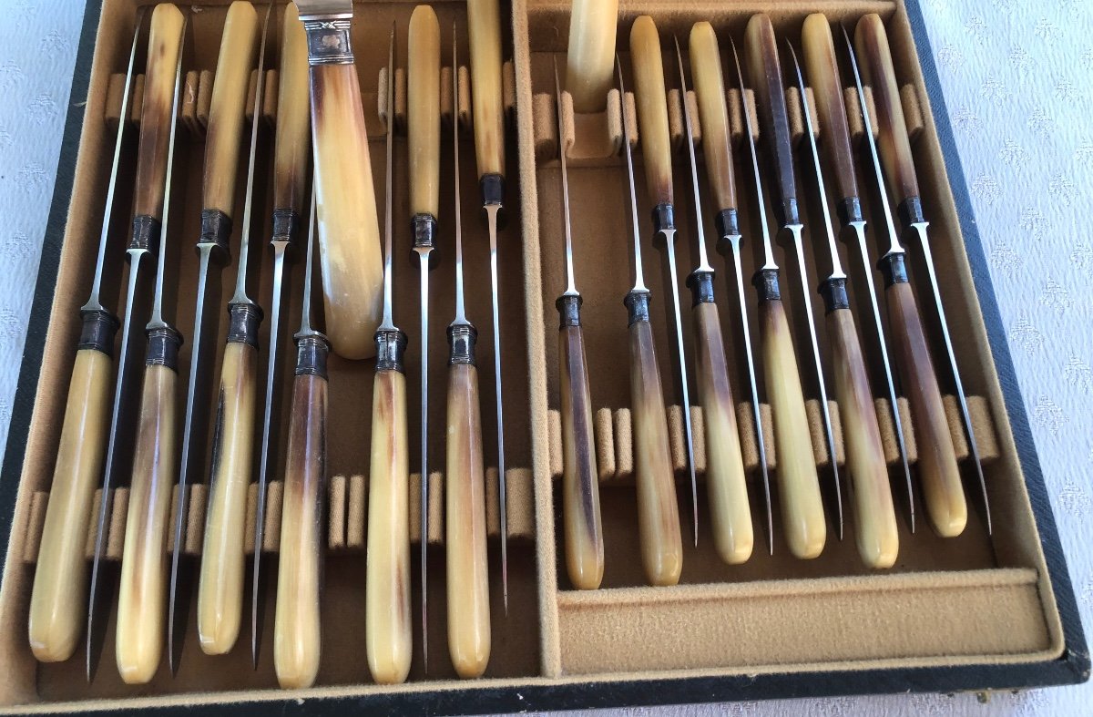 Horn Handle Knives