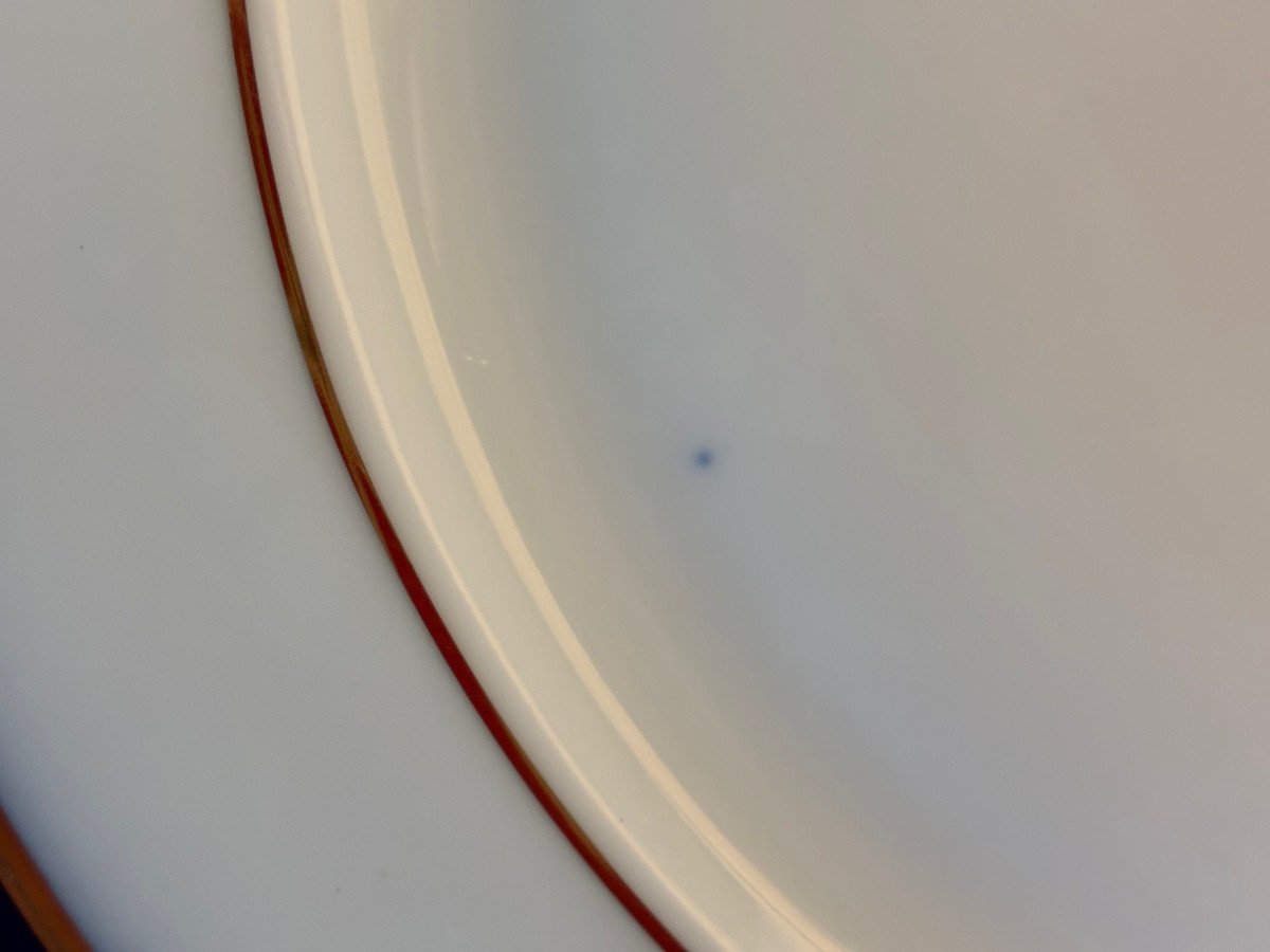 Dinner Plates -photo-4