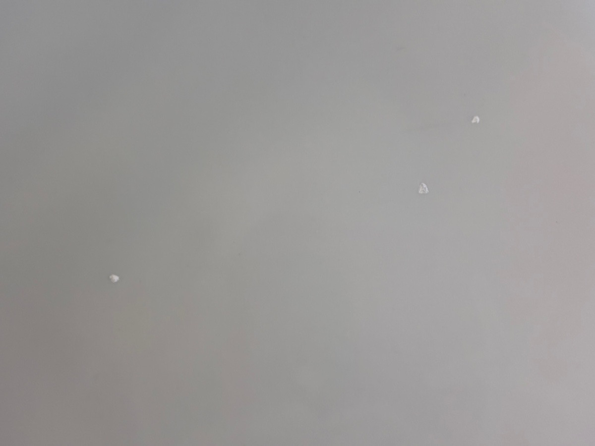 Dinner Plates -photo-5