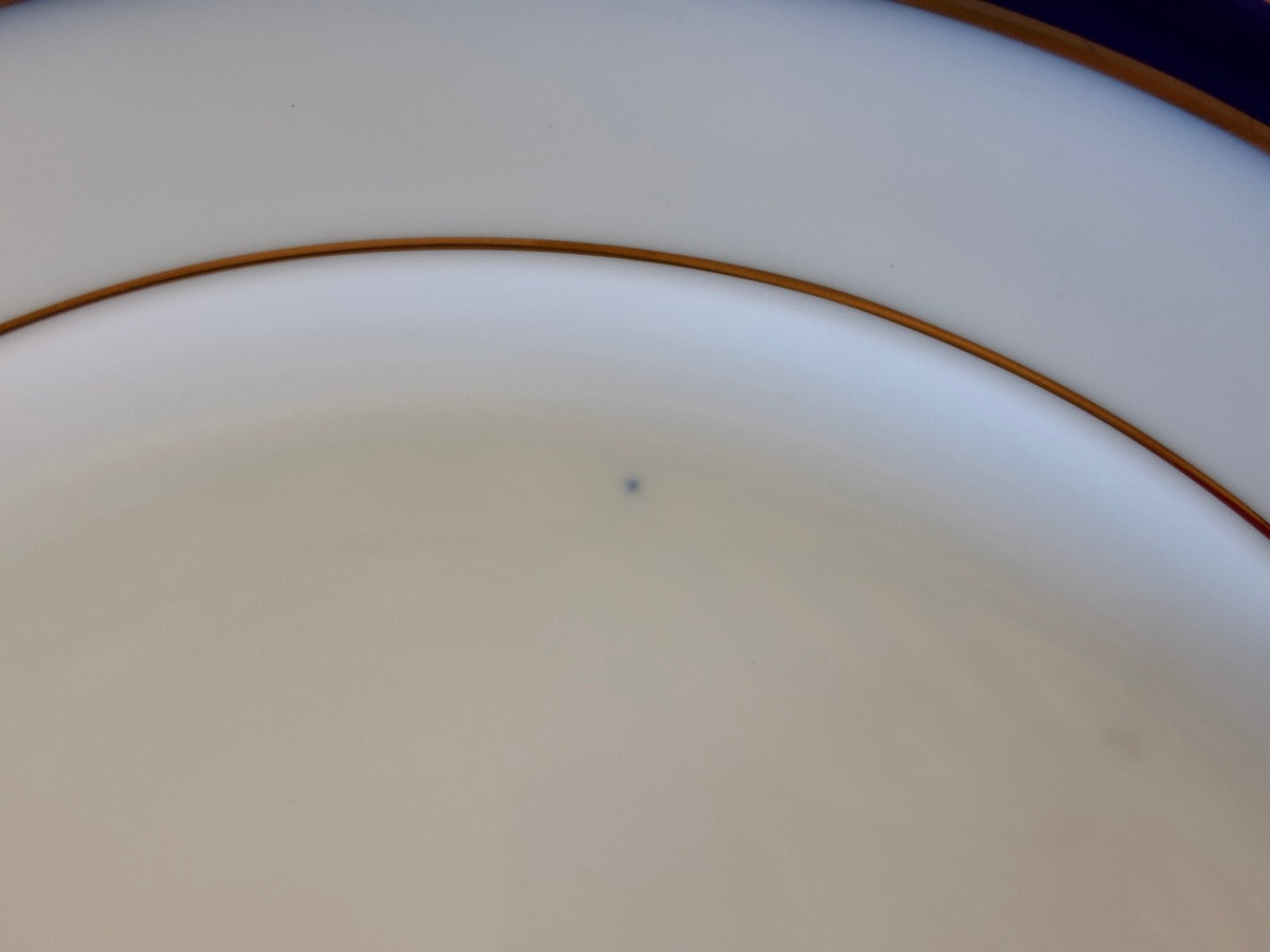 Dinner Plates -photo-6