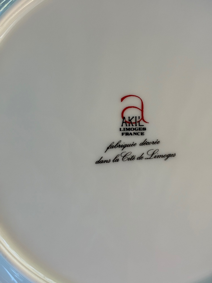 Dinner Plates -photo-7