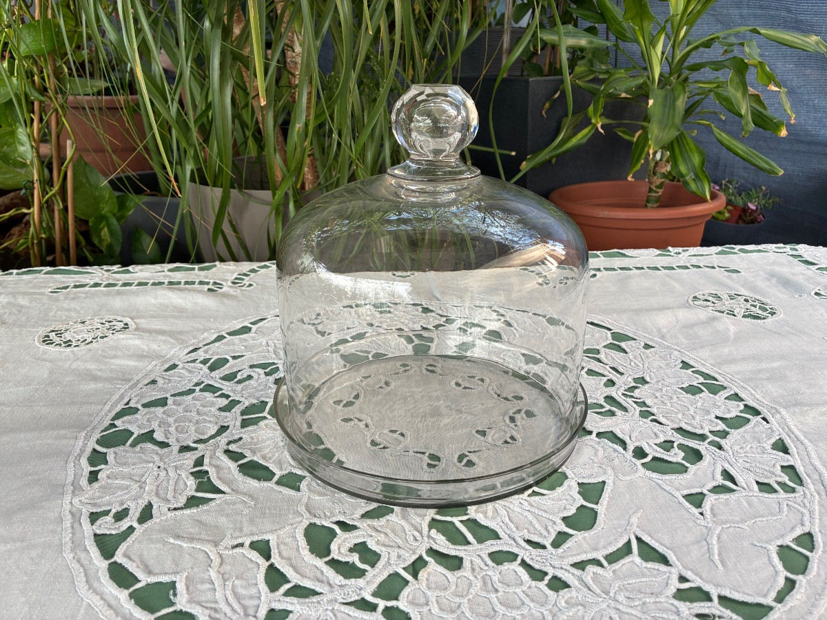 Cloche à fromage -photo-3