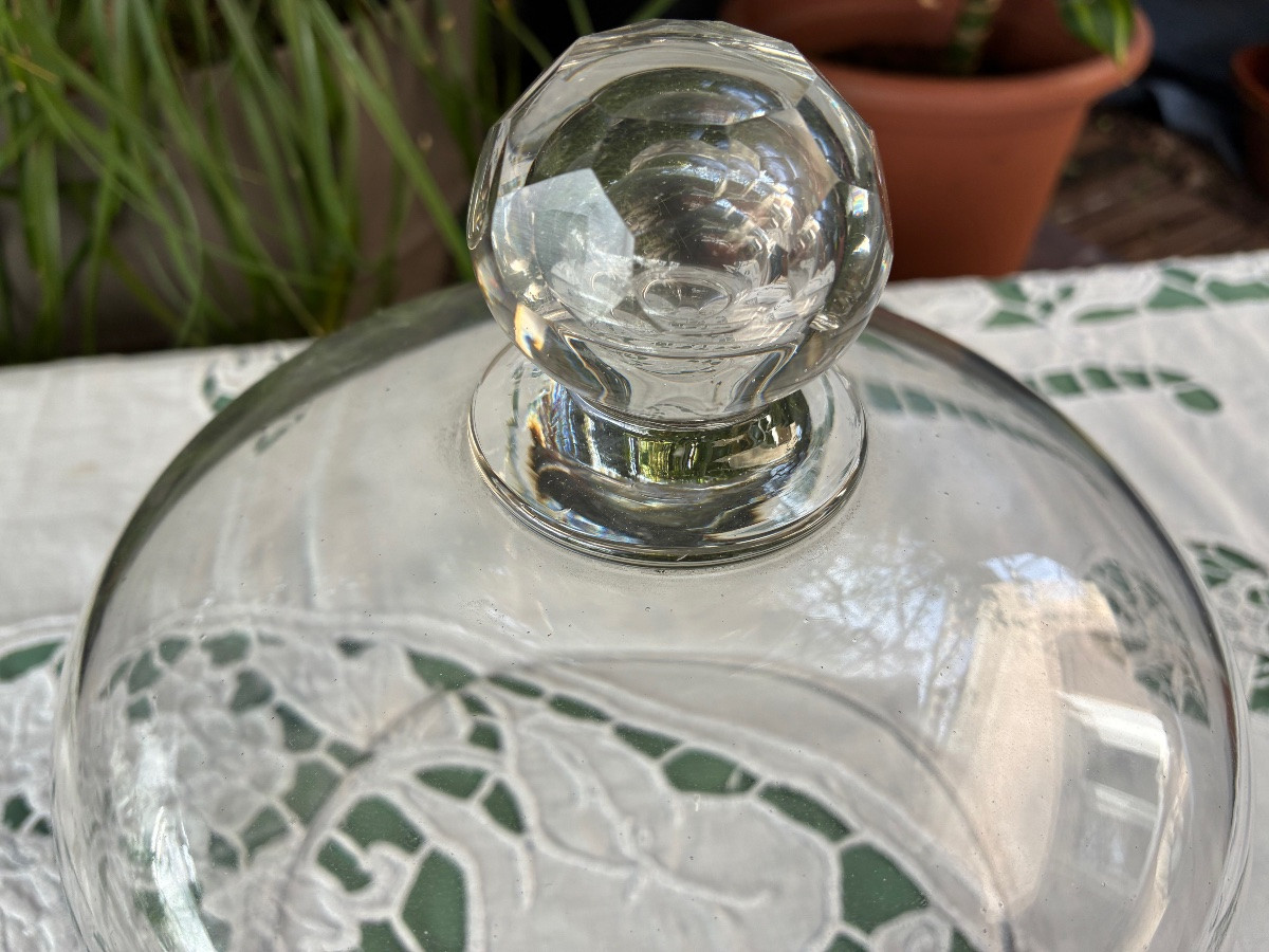 Cloche à fromage -photo-6