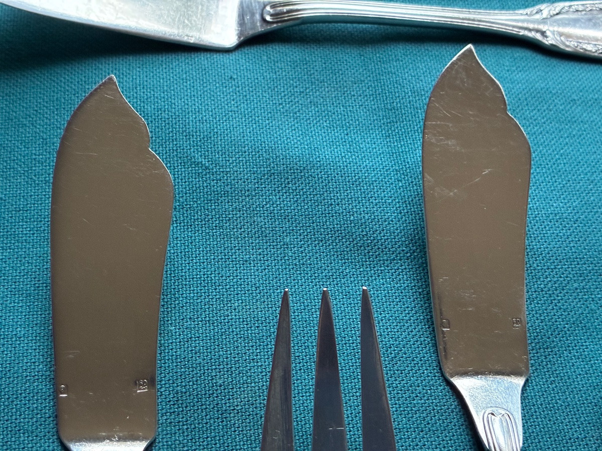 Fish Service -photo-6