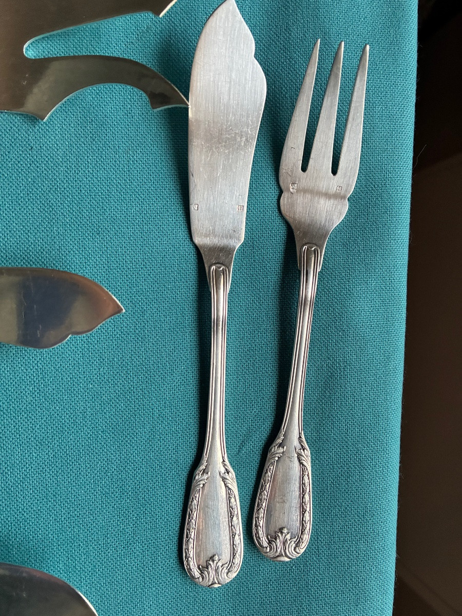 Fish Service -photo-7