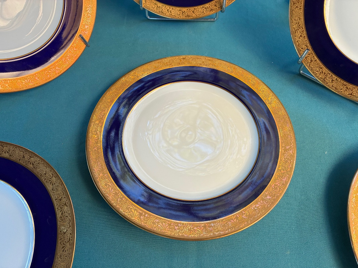 Dinner Plates-photo-3