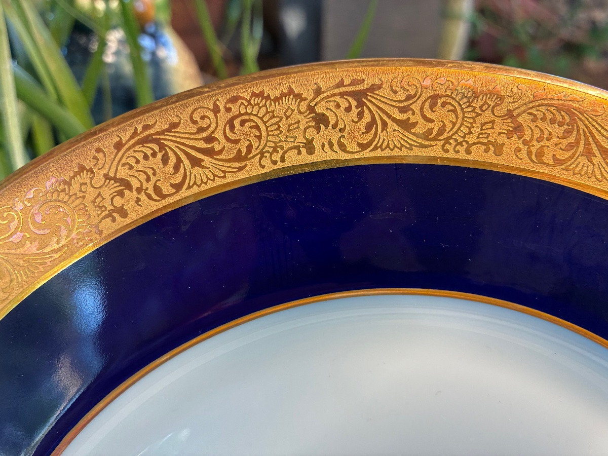 Dinner Plates-photo-4