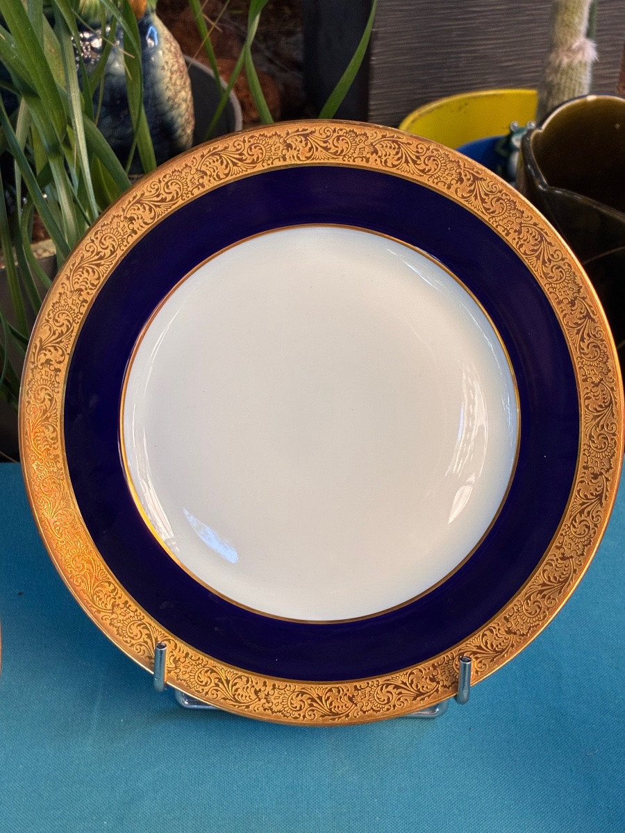 Dinner Plates-photo-5