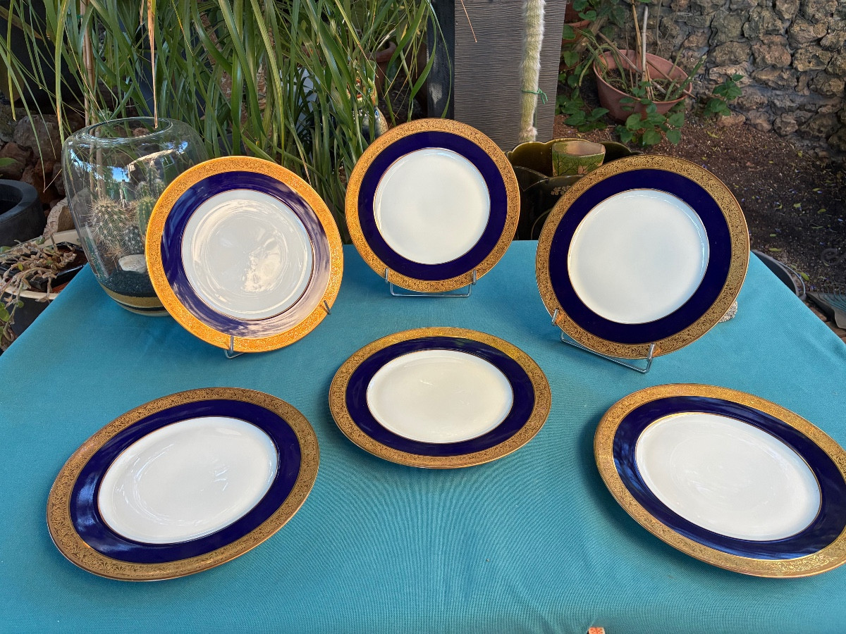 Dinner Plates