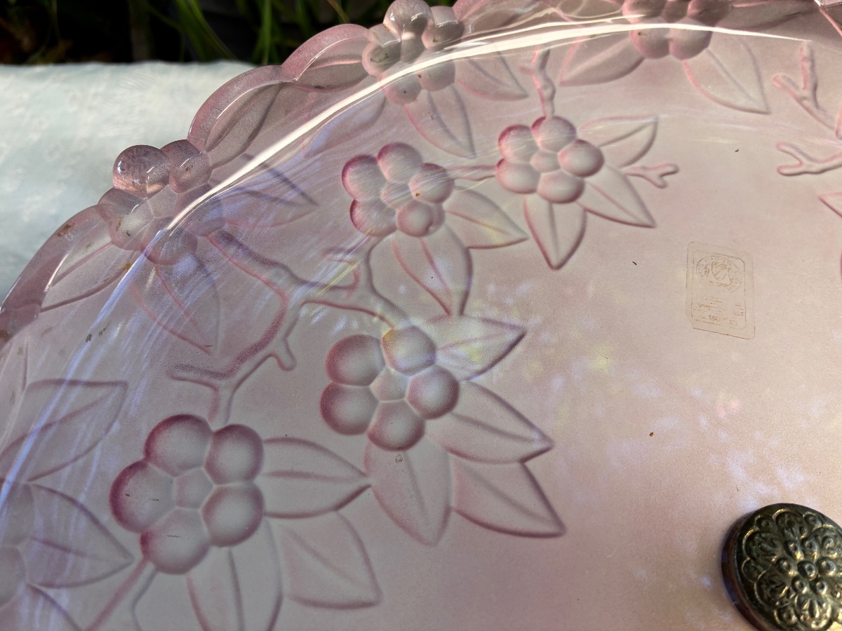 Fruit Bowl -photo-3