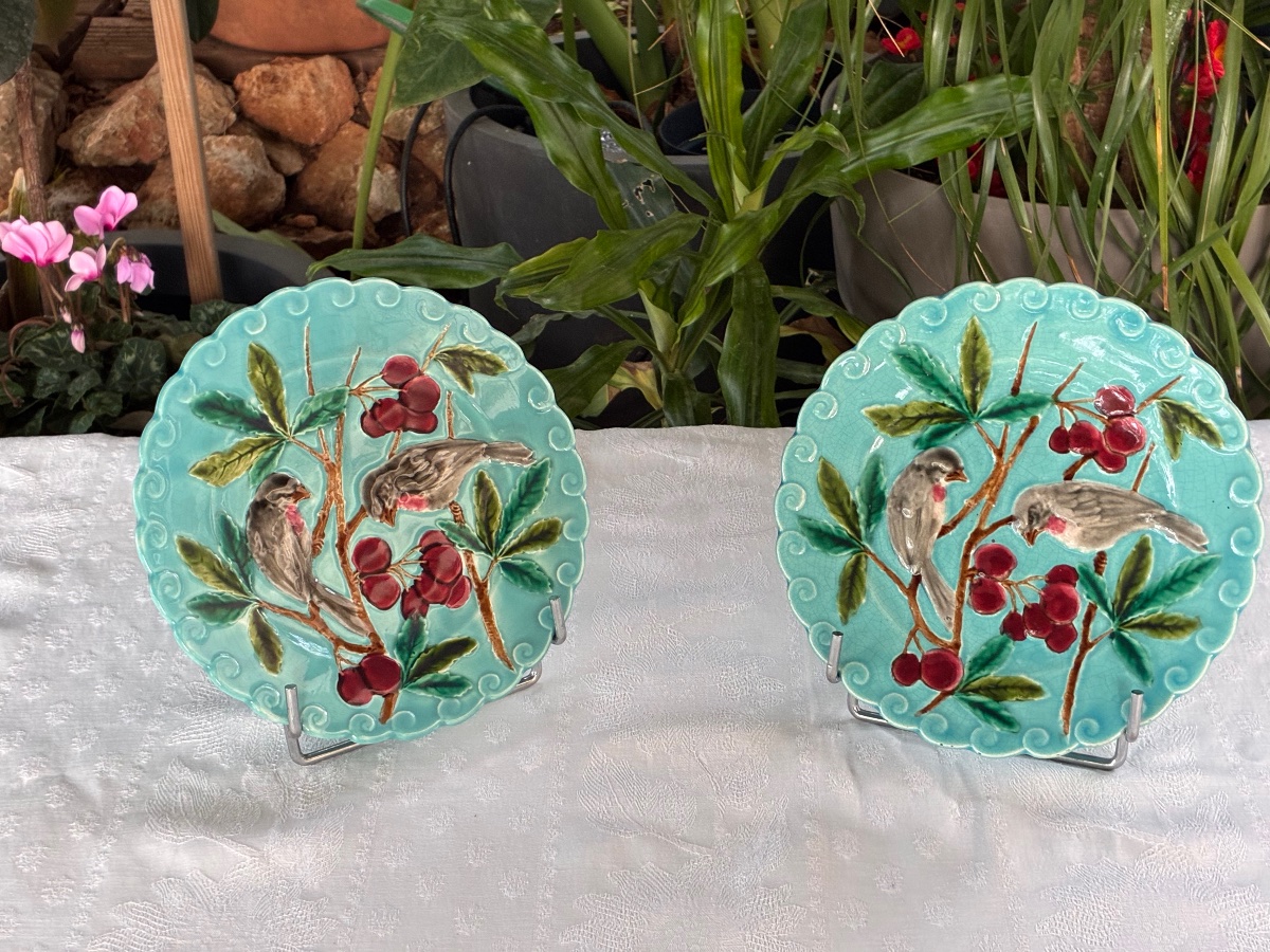 Luneville Plates 