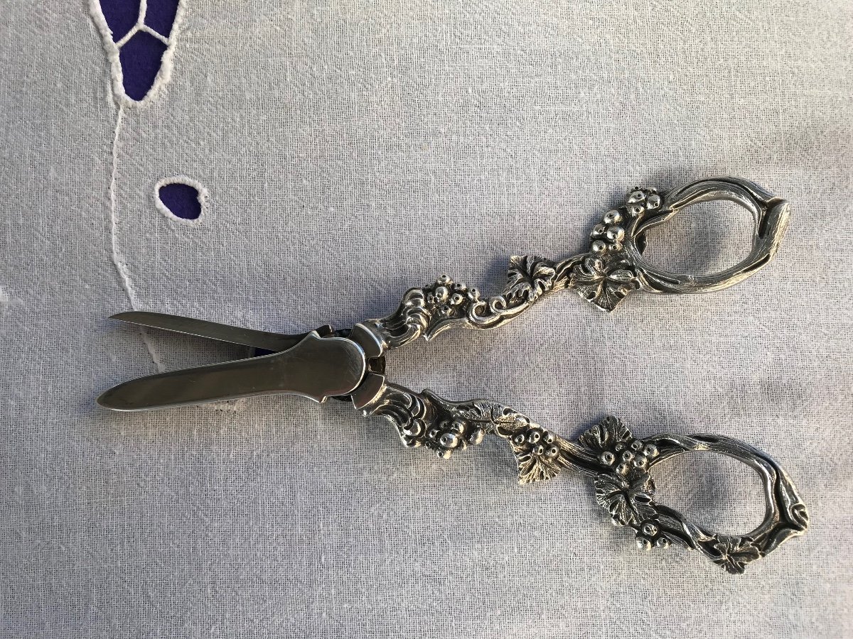 Grape Scissors-photo-2