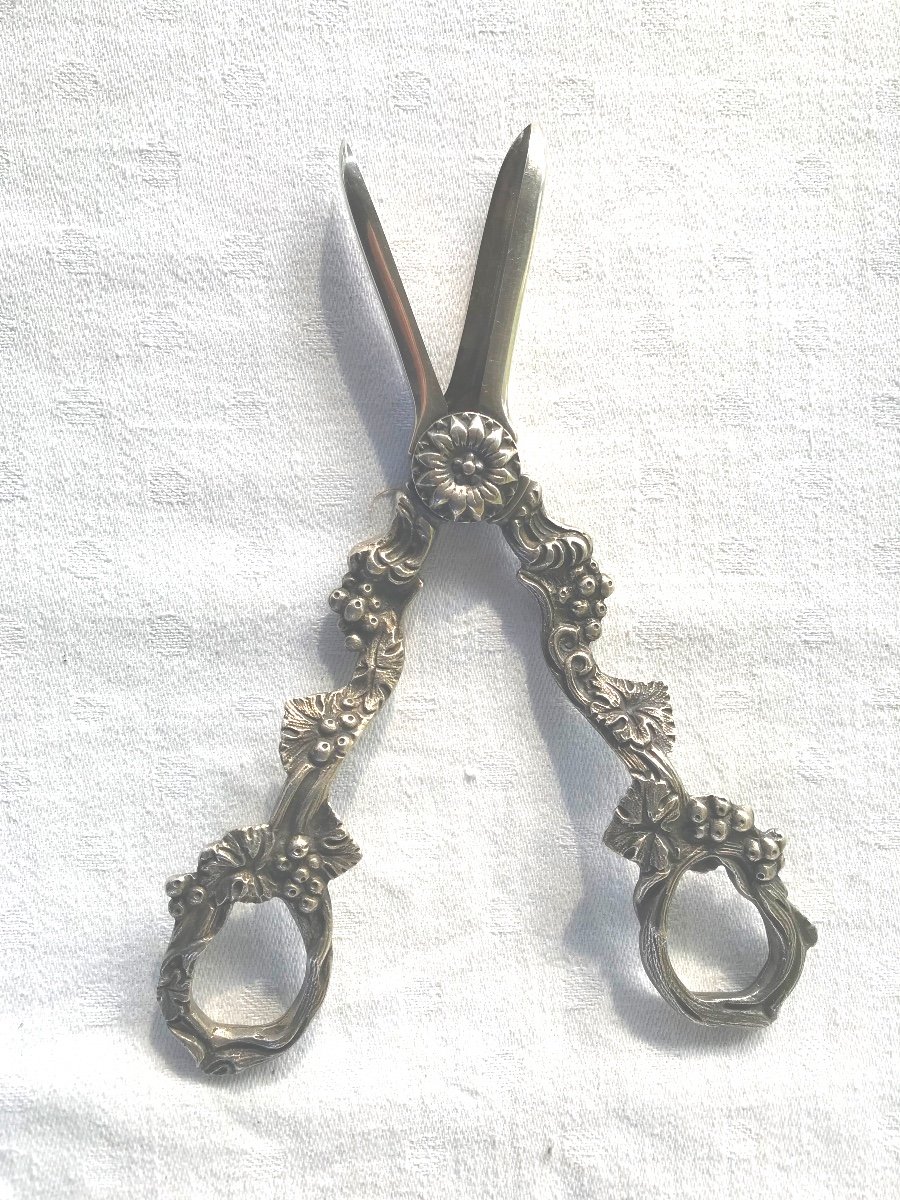 Grape Scissors-photo-4