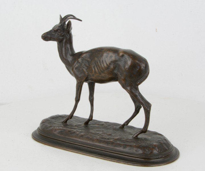 Chamois - A. Leonard 1821-1877-photo-2