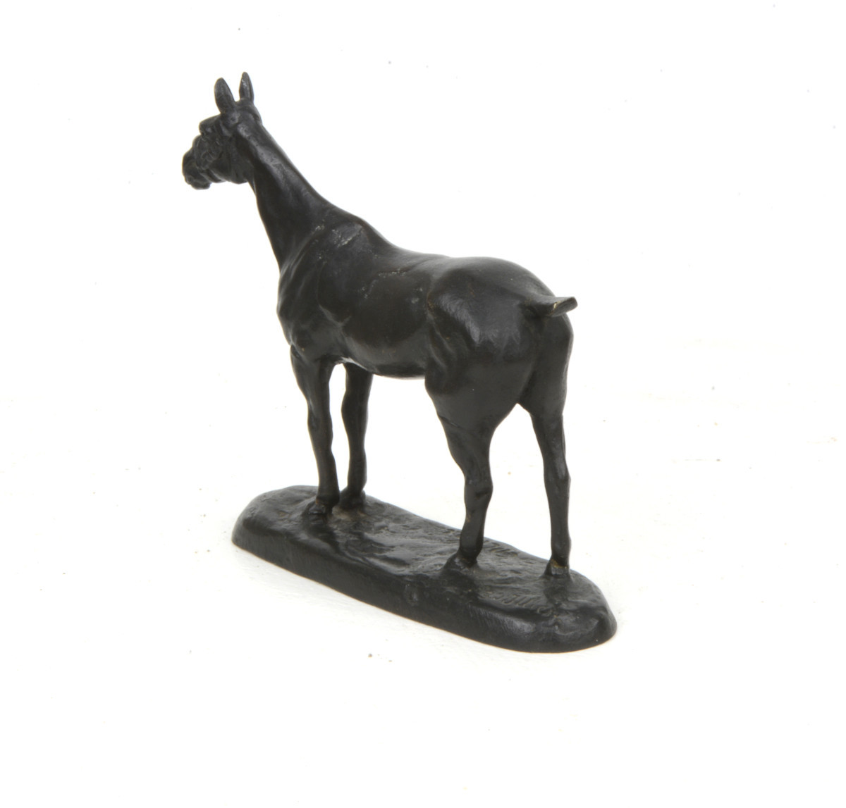 Horse Hummingbird - Gaston d'Illiers 1876-1932-photo-2