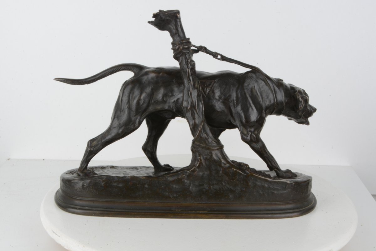 Chien limier à l'attache - Pierre-Jules MENE 1810-1879 Barbedienne-photo-4