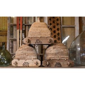 Series Of 3 Ancient Hives
