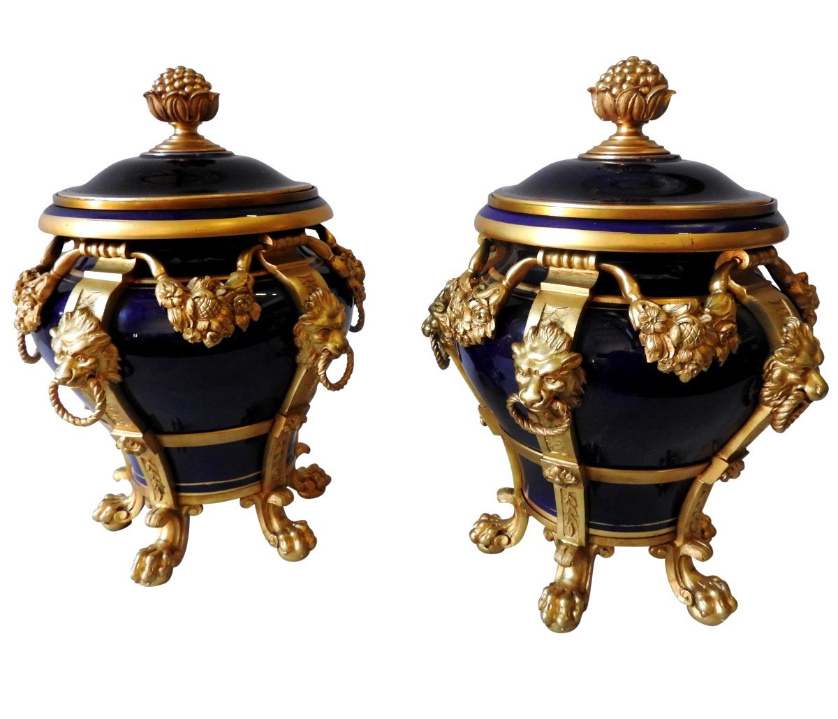 Pair Of Sèvres Style Porcelain Covered Urns