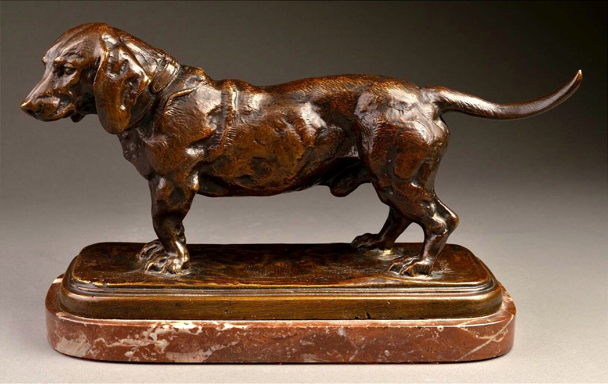 Antoine Louis Barye  Sculpture en bronze patiné " le basset "-photo-4