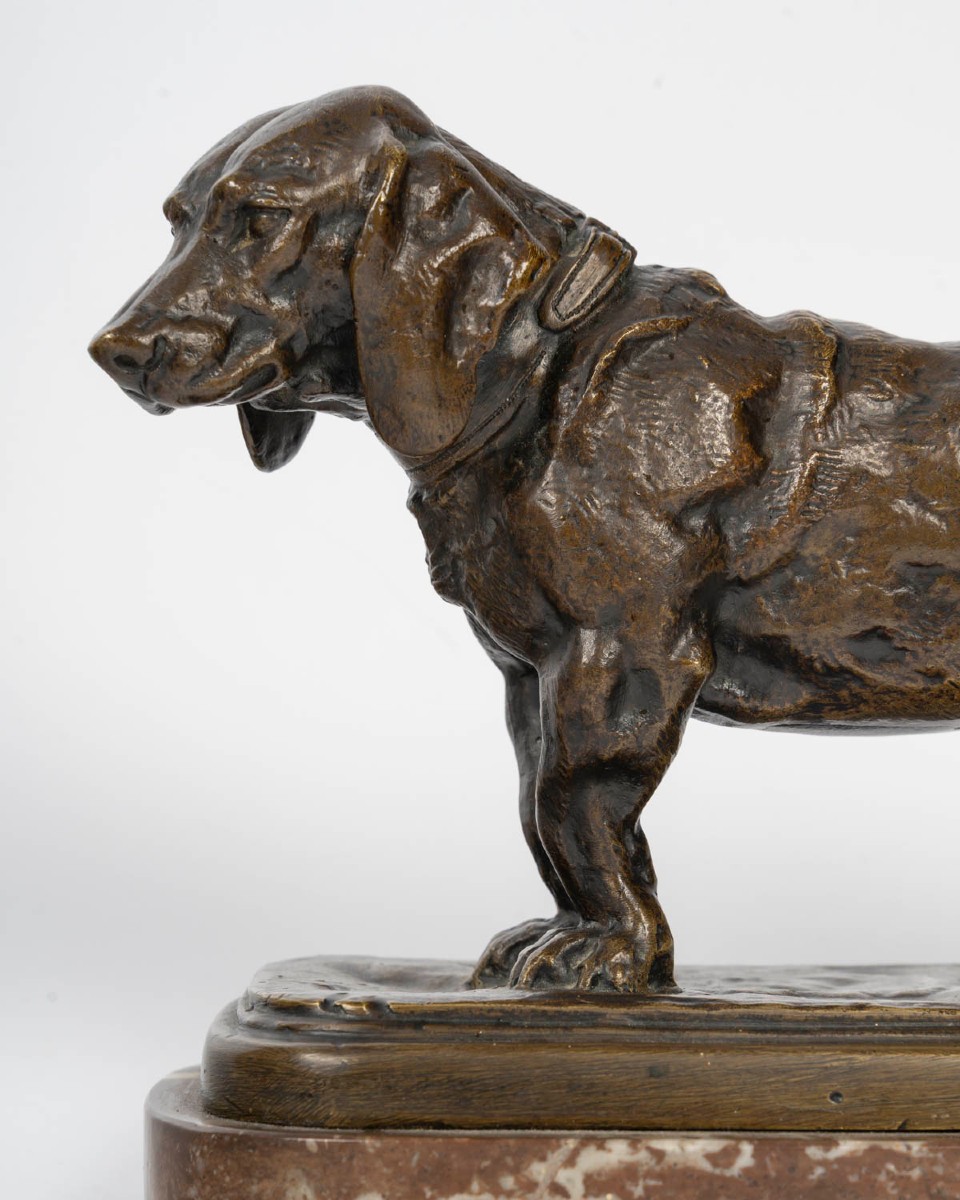 Antoine Louis Barye  Sculpture en bronze patiné " le basset "-photo-4