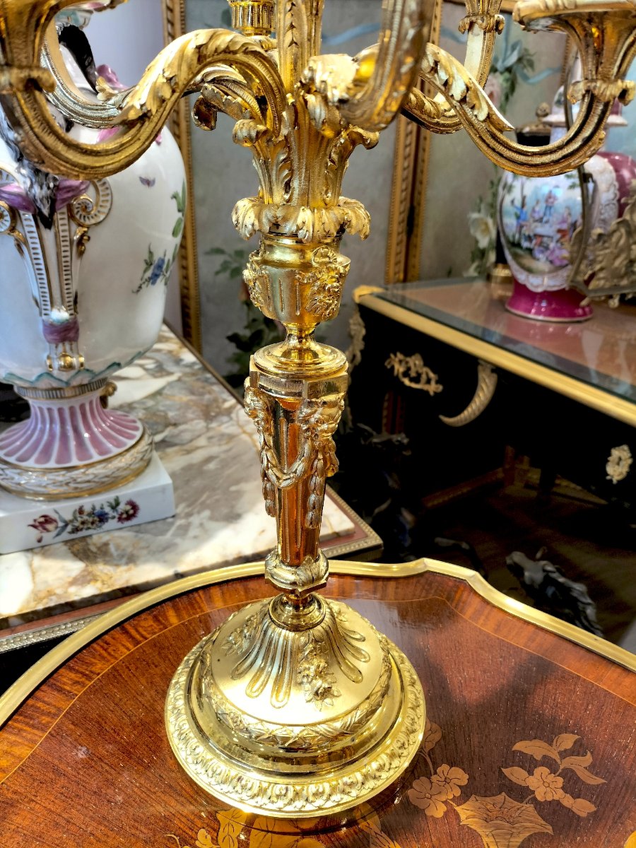 Paire de candélabres en bronze doré style Louis XVI 19ème siècle -photo-1